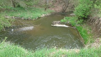 DSC_1186.JPG