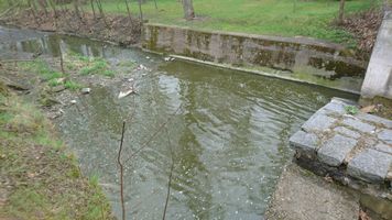 DSC_1189.JPG