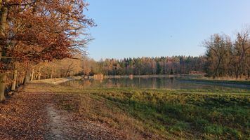 DSC_1679.JPG