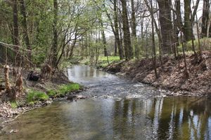 IMG_7918.JPG