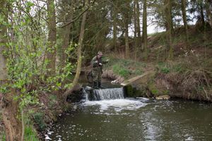 IMG_7899_1.jpg