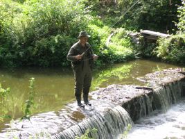 IMG_3795.JPG