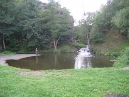 IMG_3797.JPG